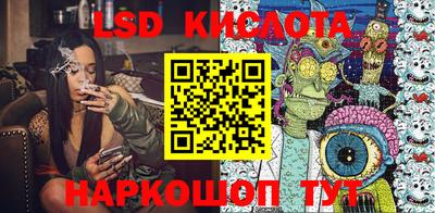 прущие грибы Тверь