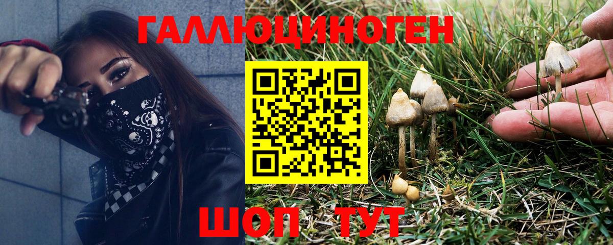 Галлюциногенные грибы MAGIC MUSHROOMS  Вход с VPN  Осинники 